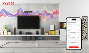 âm thanh đa vùng 0