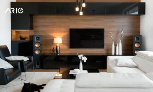 điều khiển điều hòa, TV 0