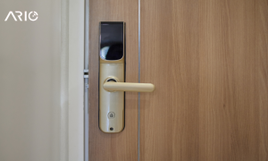 Kiểm soát ra vào 0