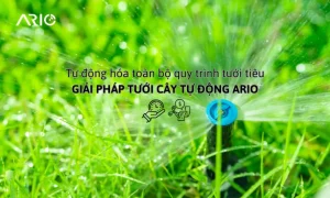Tưới tiêu tự động 0